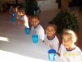 /album/escola-sathia-sai-ribeirao-verde/a108-jpg/