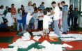 /album/dadinho-lutando-em-regionais-paulistas-abertos-brasileiros/img051-jpg/